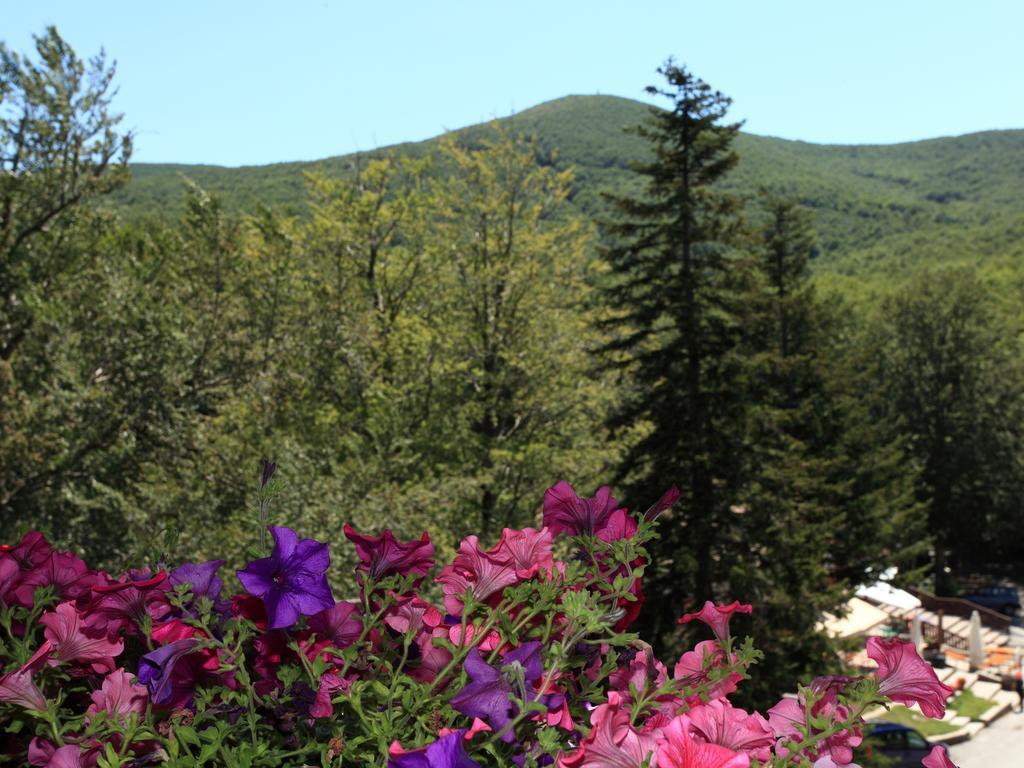 Albergo Le Macinaie - Monte Amiata Castel del Piano  Bagian luar foto