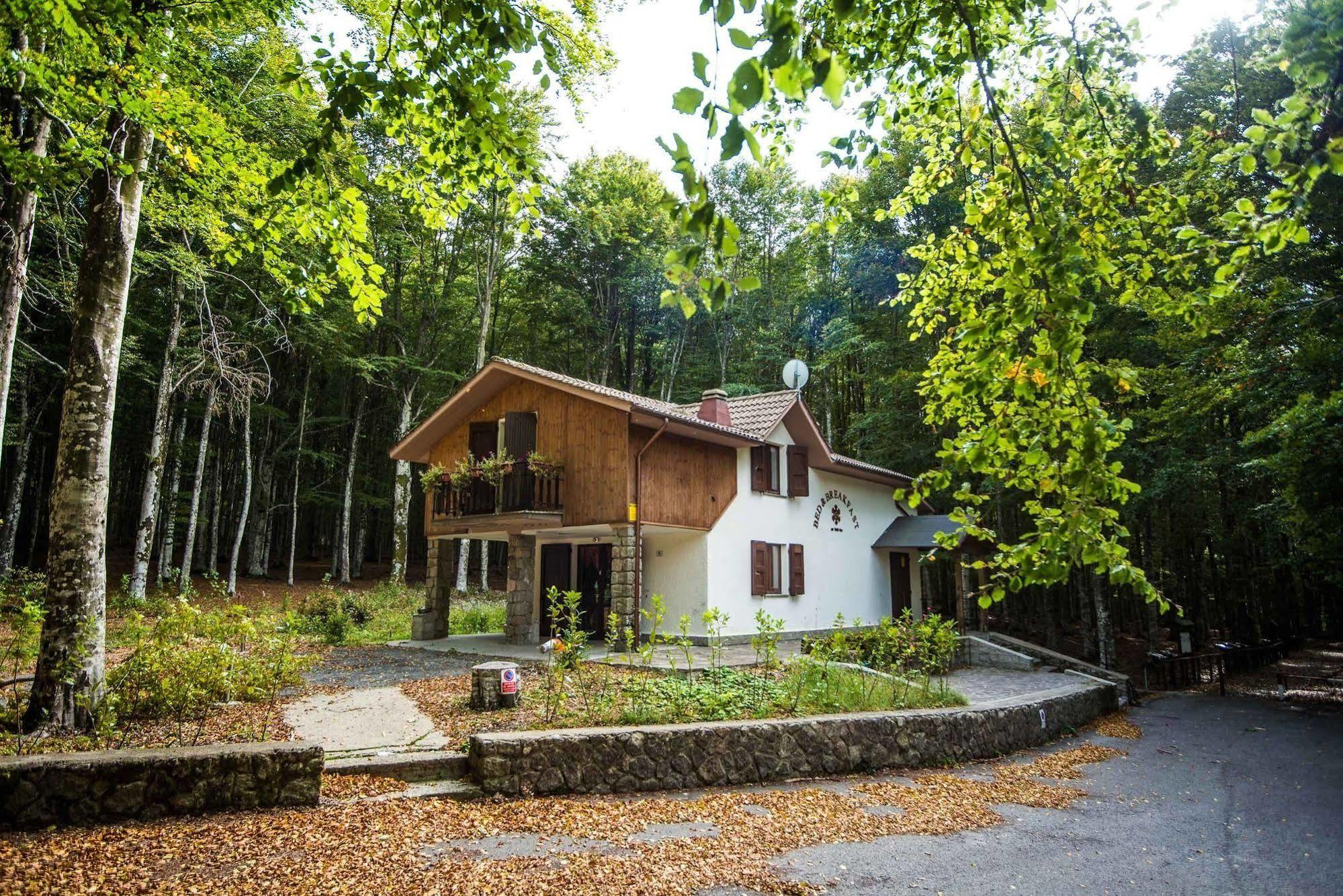 Albergo Le Macinaie - Monte Amiata Castel del Piano  Bagian luar foto